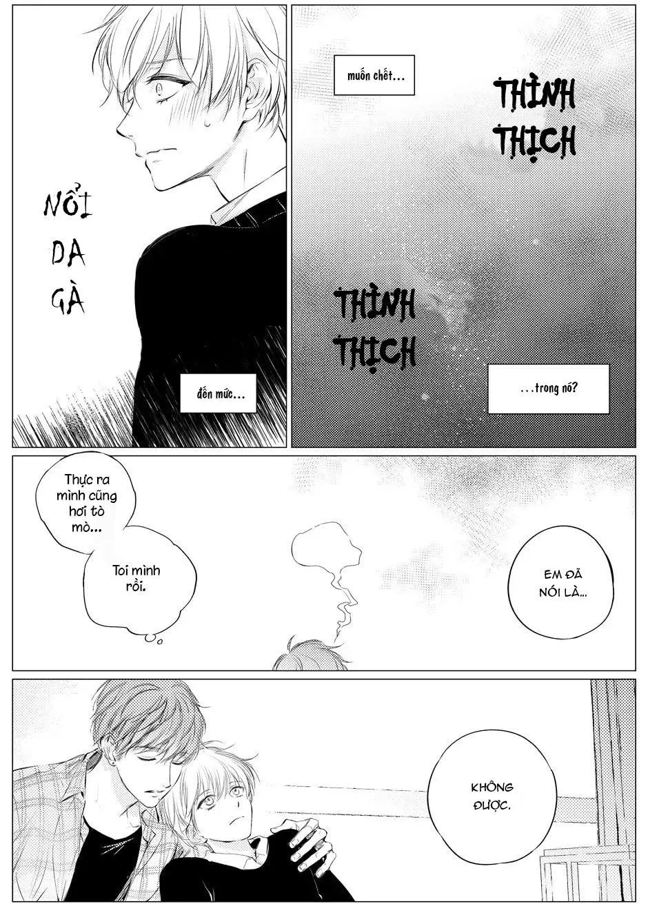 Nóng Nảy Và Dịu Dàng Chapter 3 Trang 16