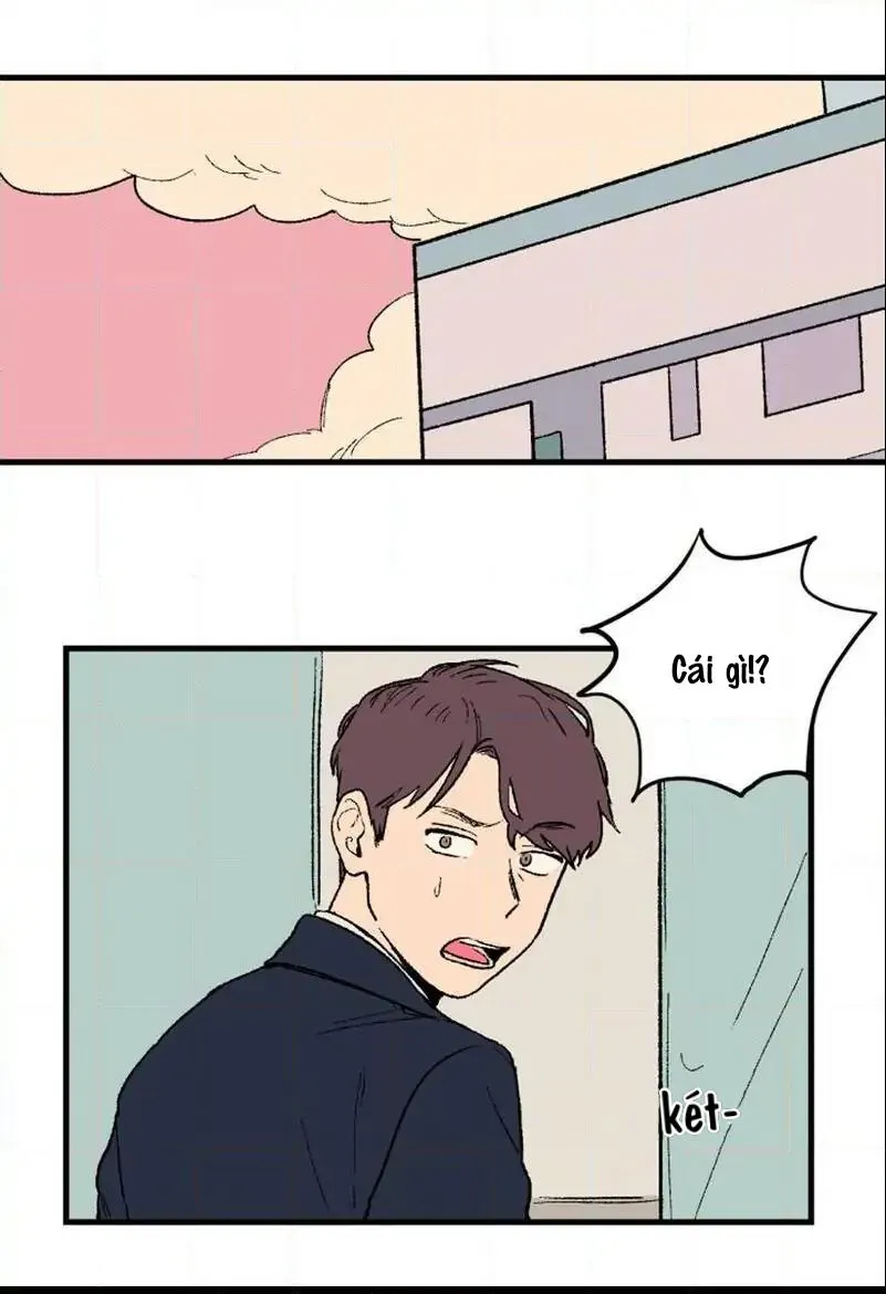 KHÔNG PHẢI SUGAR DADDY Chapter 2 Trang 4