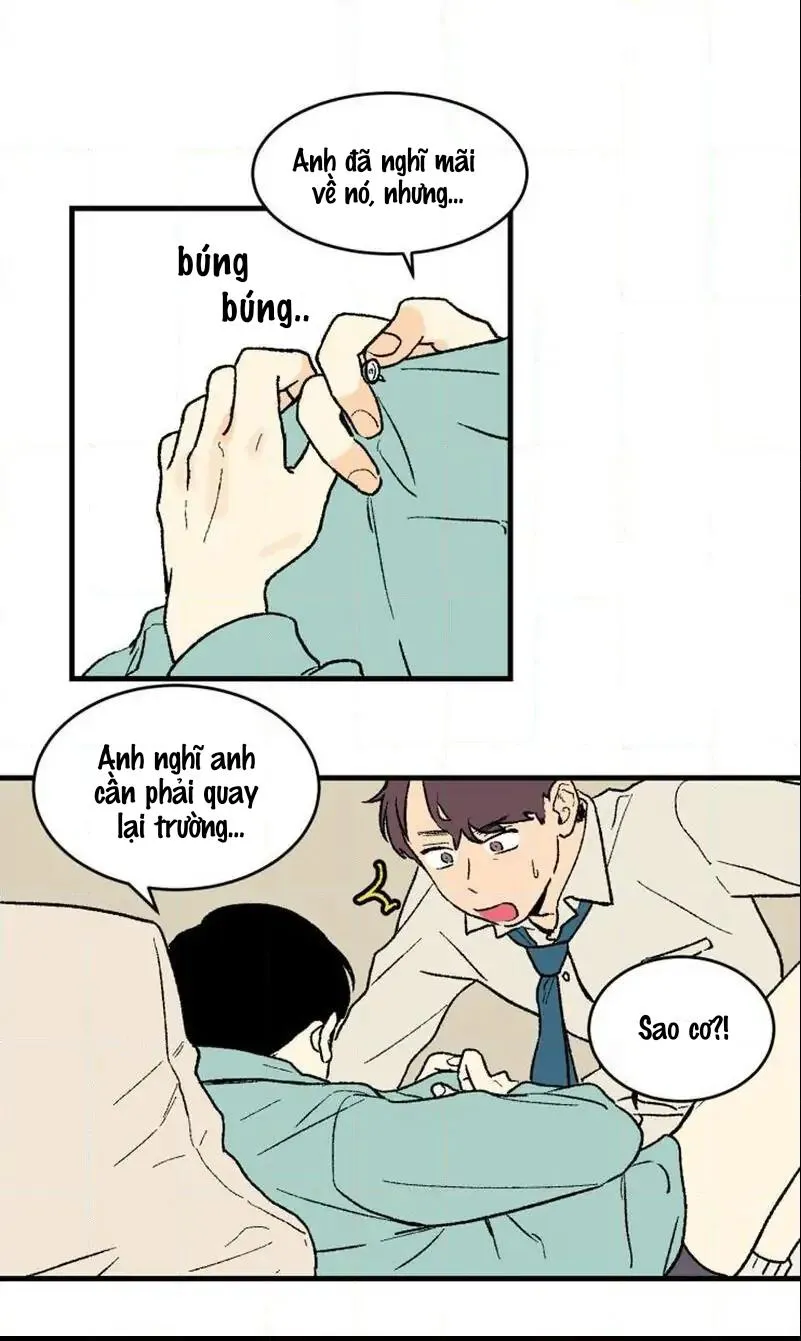 KHÔNG PHẢI SUGAR DADDY Chapter 2 Trang 12