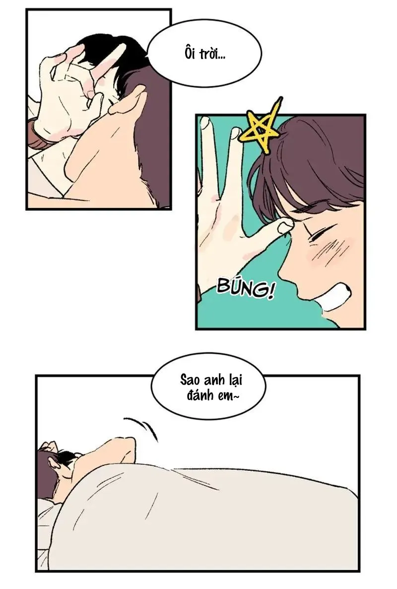 KHÔNG PHẢI SUGAR DADDY Chapter 2 Trang 22