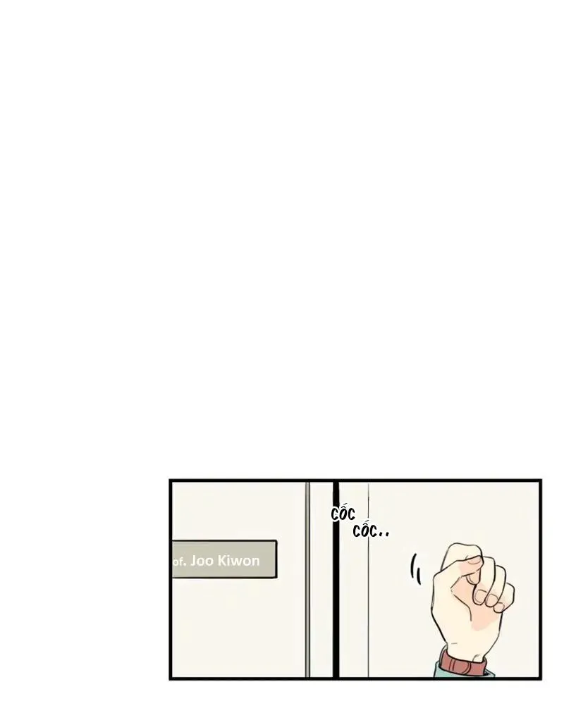 KHÔNG PHẢI SUGAR DADDY Chapter 4 Trang 3