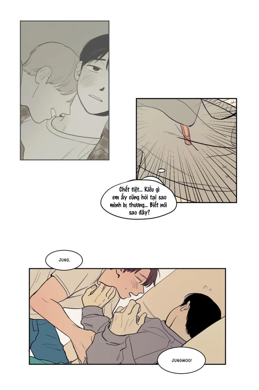 KHÔNG PHẢI SUGAR DADDY Chapter 11 Trang 8