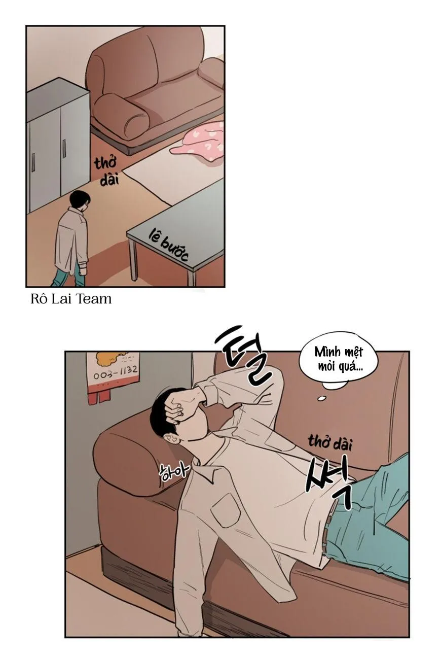 KHÔNG PHẢI SUGAR DADDY Chapter 12 Trang 7