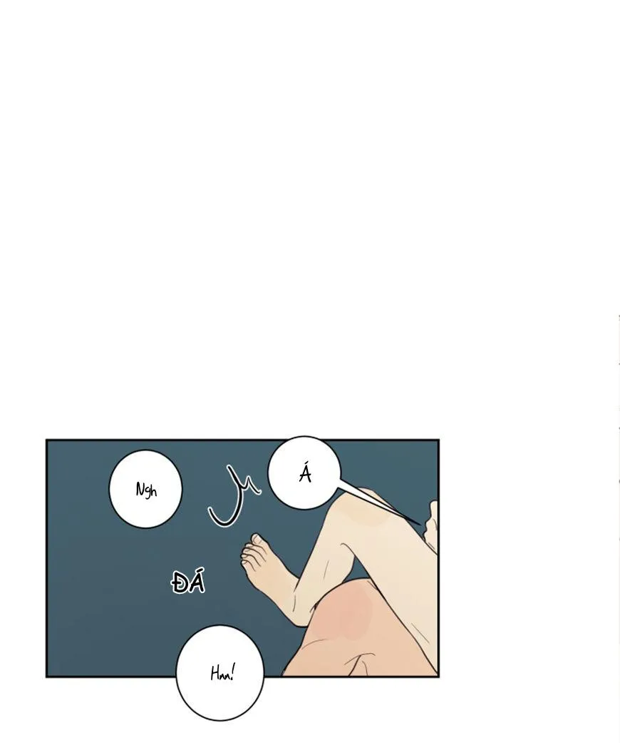 KHÔNG PHẢI SUGAR DADDY Chapter 14 Trang 19