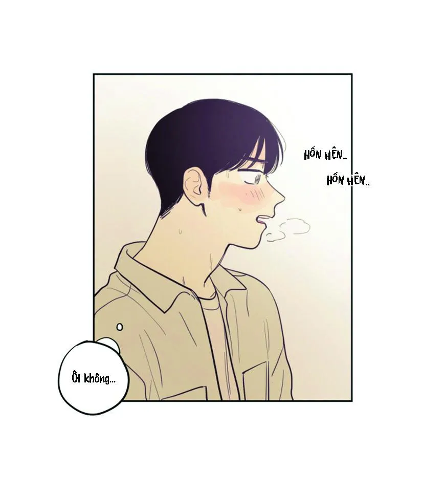 KHÔNG PHẢI SUGAR DADDY Chapter 17 Trang 8