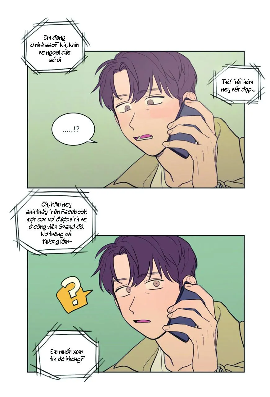 KHÔNG PHẢI SUGAR DADDY Chapter 18 Trang 10