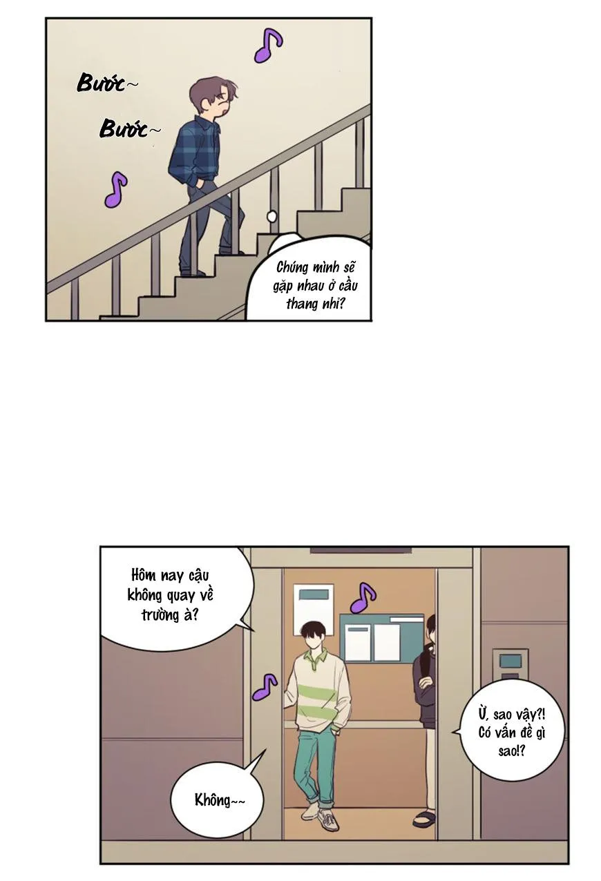 KHÔNG PHẢI SUGAR DADDY Chapter 20 Trang 19