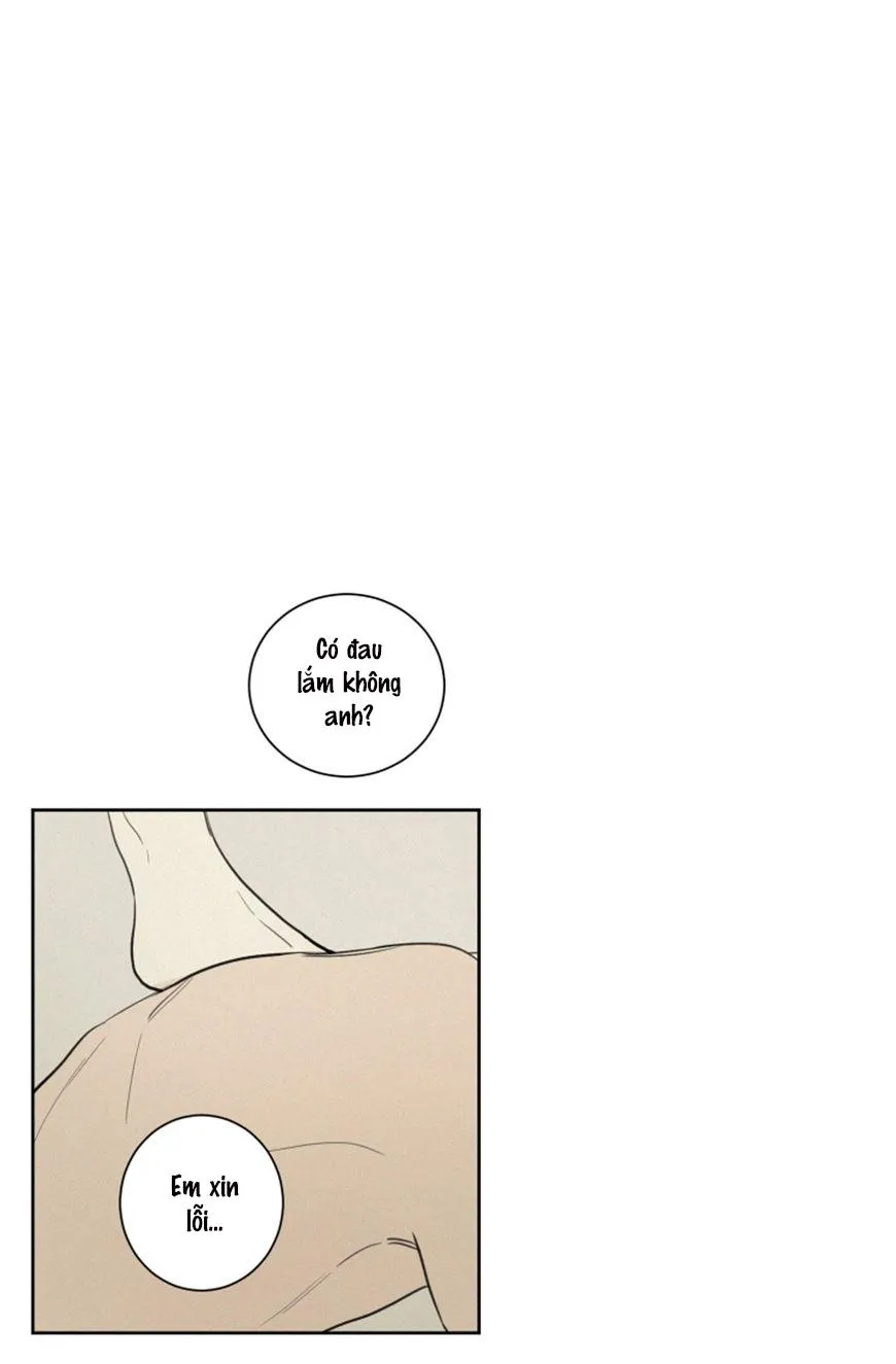 KHÔNG PHẢI SUGAR DADDY Chapter 22 Trang 4