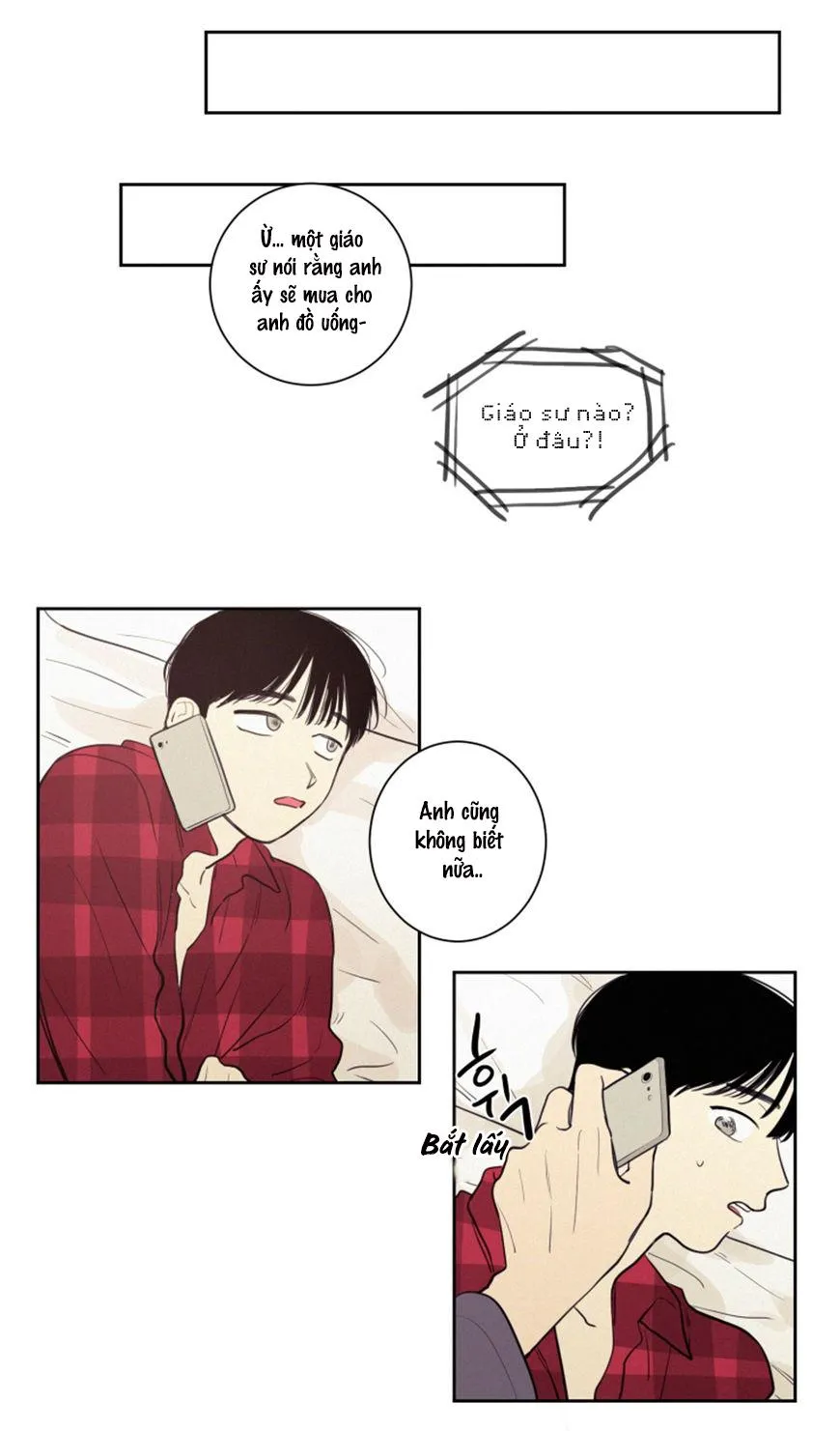 KHÔNG PHẢI SUGAR DADDY Chapter 22 Trang 12