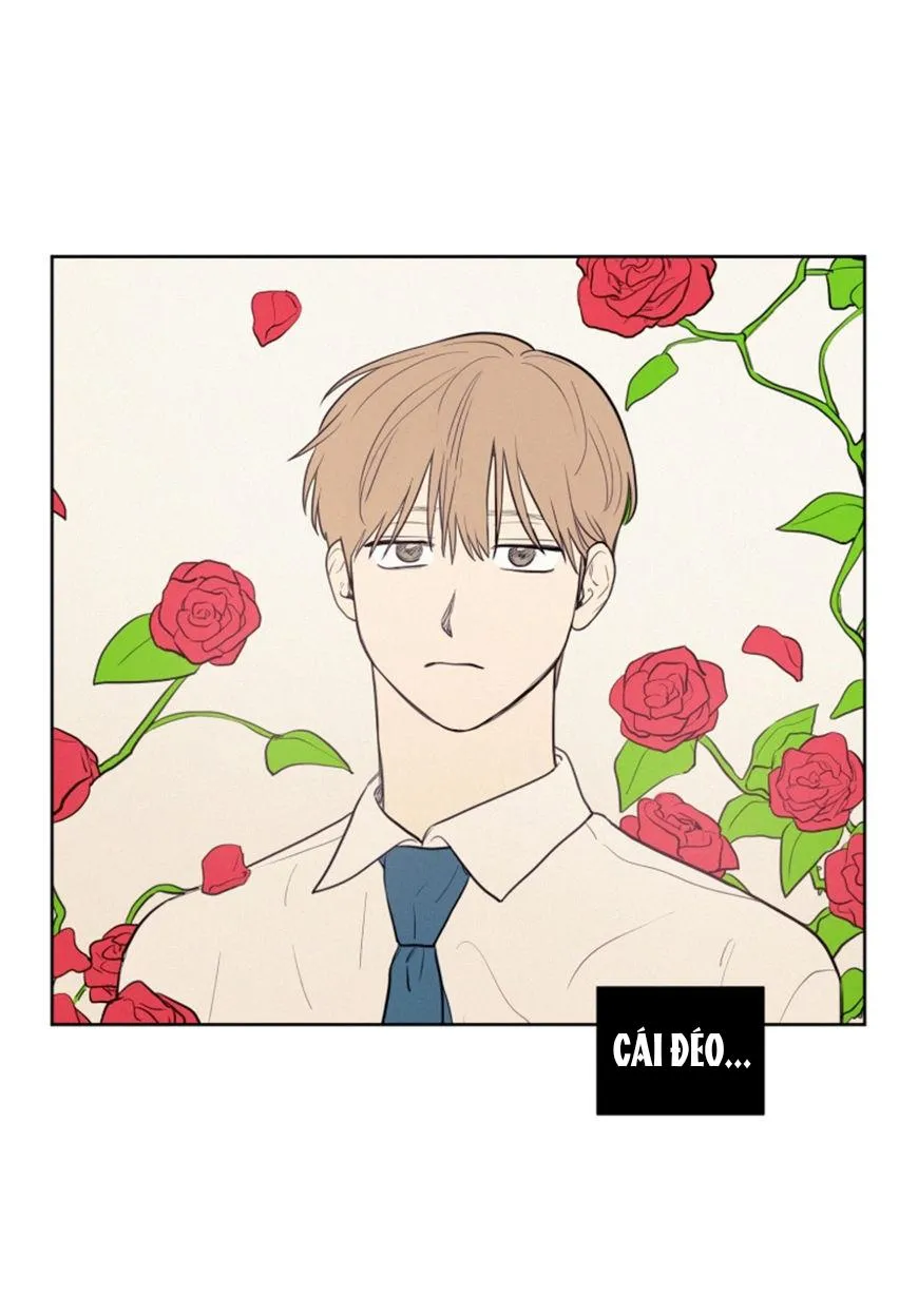 KHÔNG PHẢI SUGAR DADDY Chapter 23 Trang 15