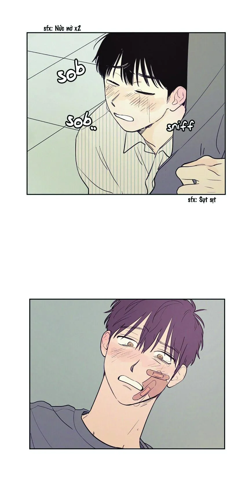 KHÔNG PHẢI SUGAR DADDY Chapter 27 Trang 5