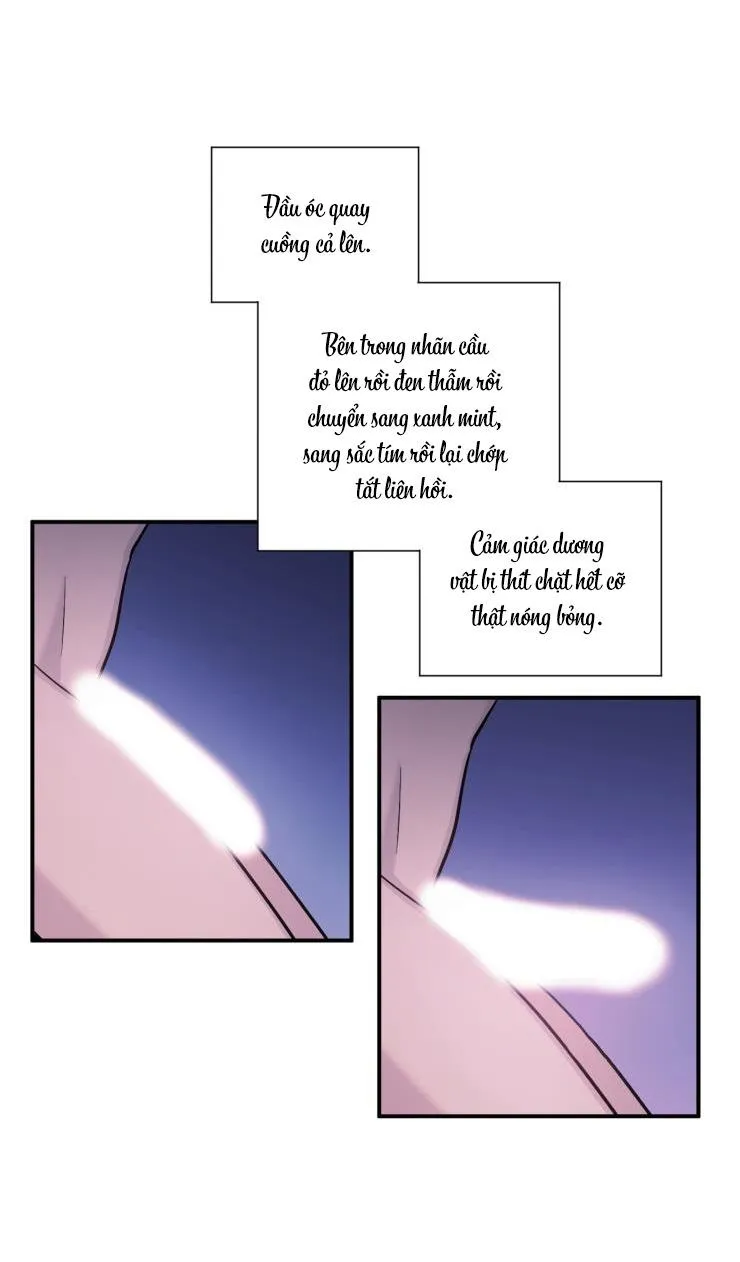 |DROP| Not Bad Chapter 8 Trang 7