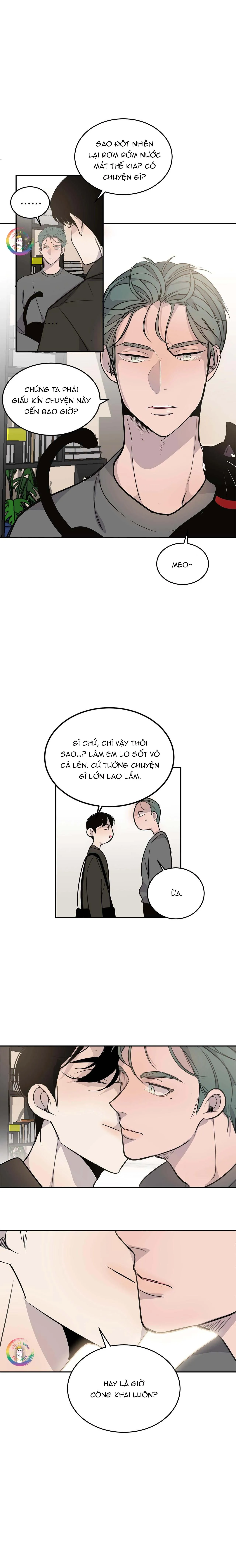 Sao NOTP Lại Thành Thật Rồi? (END) Chapter 4 Trang 8