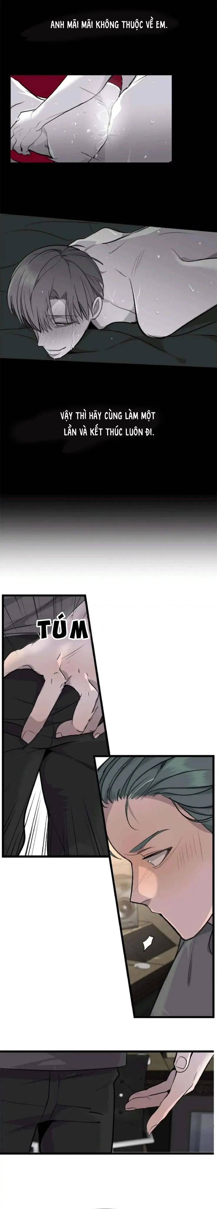 Sao NOTP Lại Thành Thật Rồi? (END) Chapter 12 Trang 17