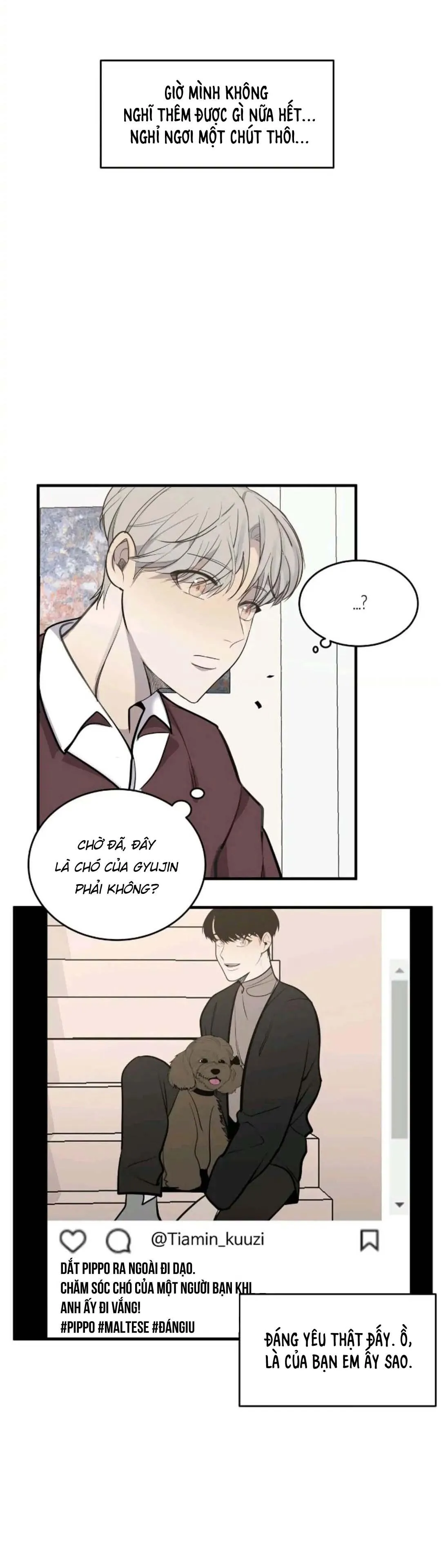 Sao NOTP Lại Thành Thật Rồi? (END) Chapter 16 Trang 16