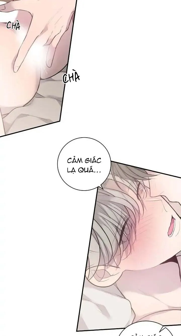 Sao NOTP Lại Thành Thật Rồi? (END) Chapter 36 Trang 21