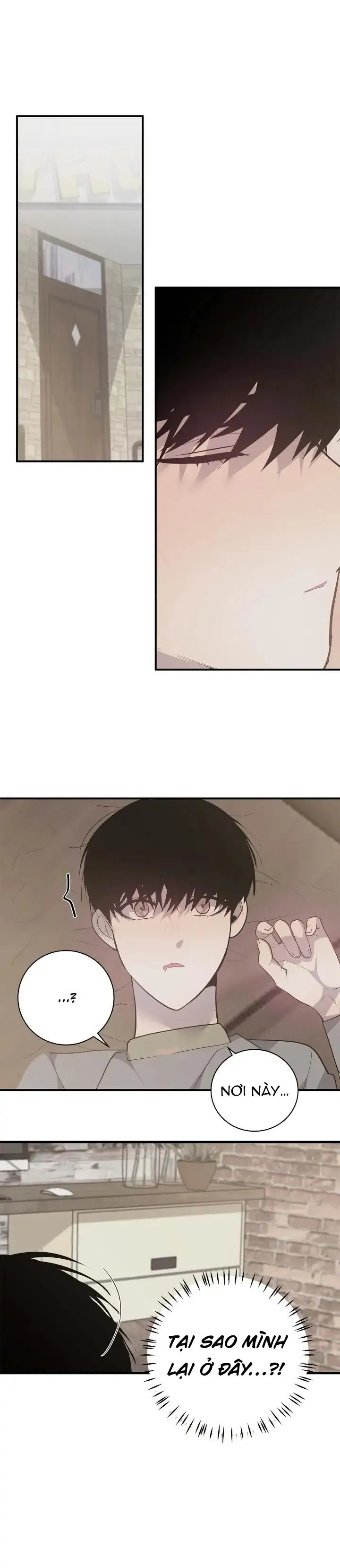 Sao NOTP Lại Thành Thật Rồi? (END) Chapter 47 Trang 16