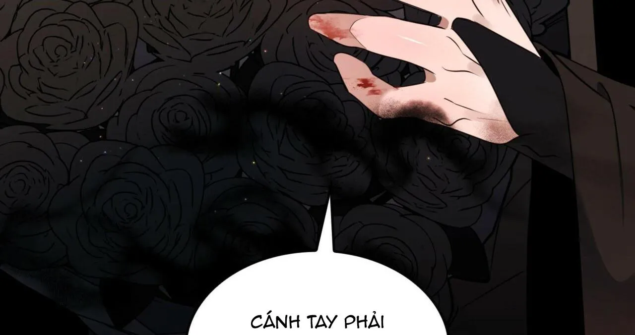 (NP) ĐỘC THÂN MUÔN NĂM Chapter 8 Trang 52