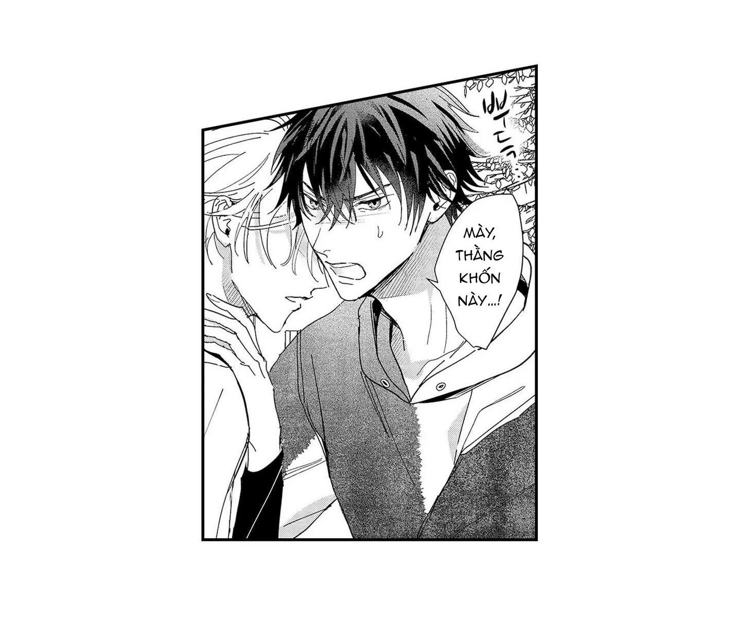 Nữ hoàng Omega hoa lệ Chapter 6 Trang 6