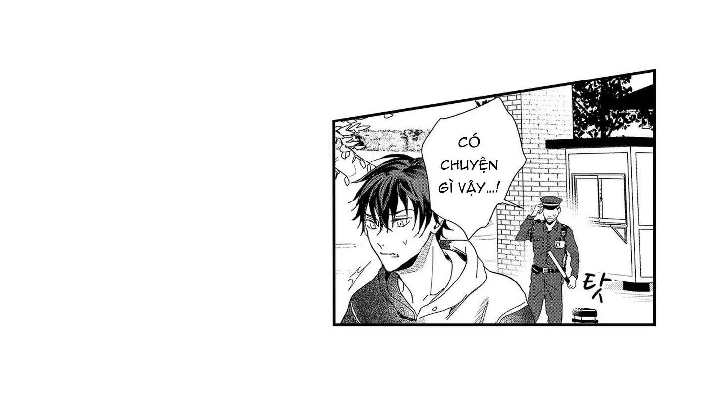 Nữ hoàng Omega hoa lệ Chapter 6 Trang 9