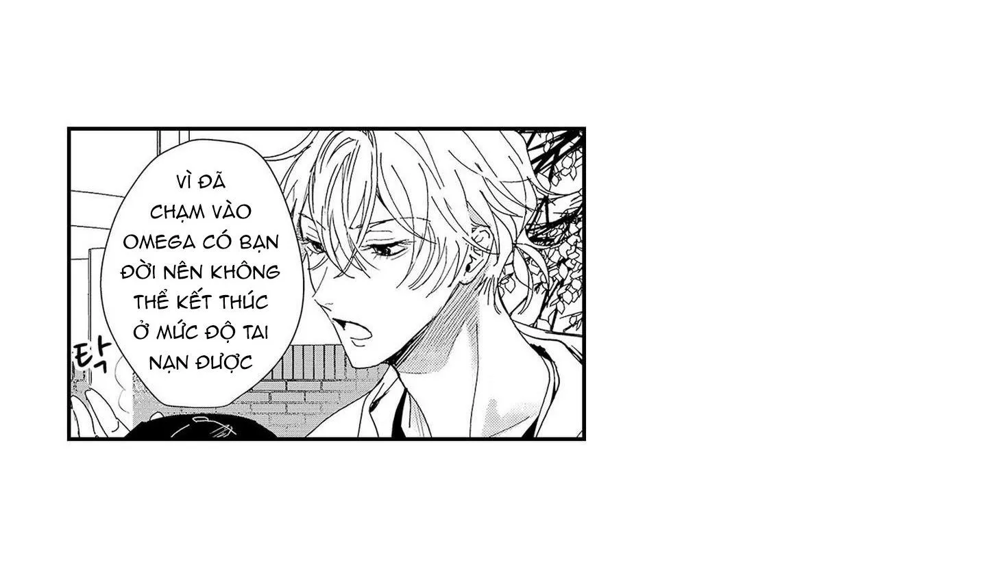 Nữ hoàng Omega hoa lệ Chapter 6 Trang 12