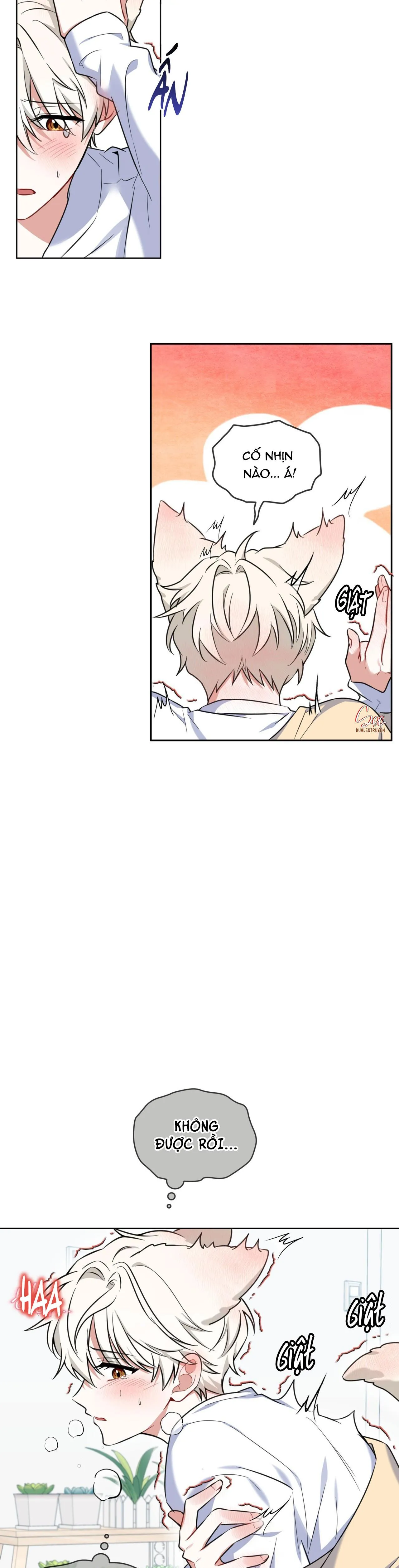 NƯỚC UỐNG TÌNH YÊU CỦA CÁO PLIN Chapter 2 Trang 12