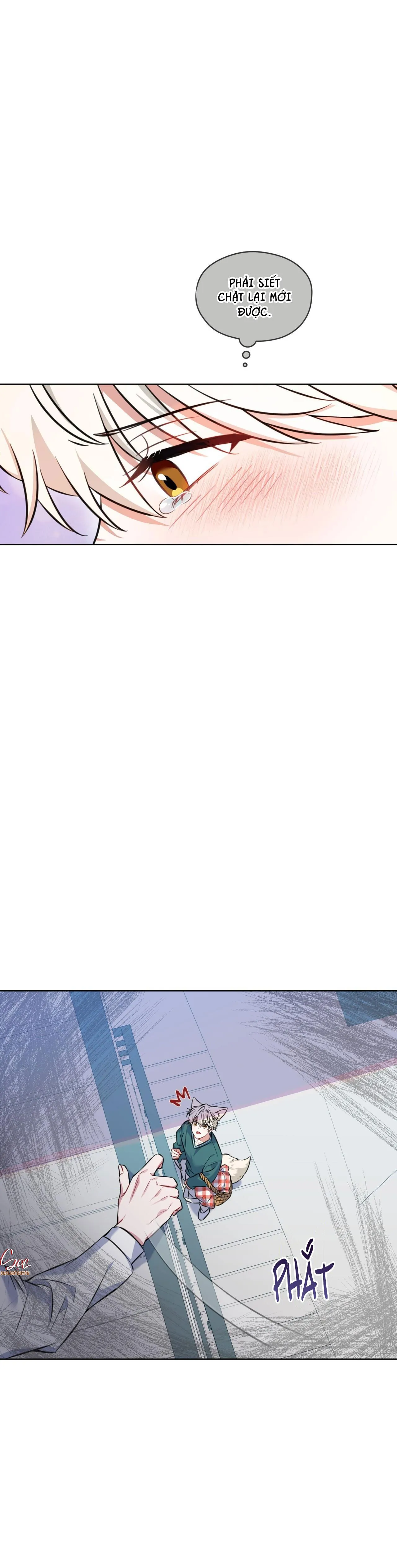 NƯỚC UỐNG TÌNH YÊU CỦA CÁO PLIN Chapter 2 Trang 17