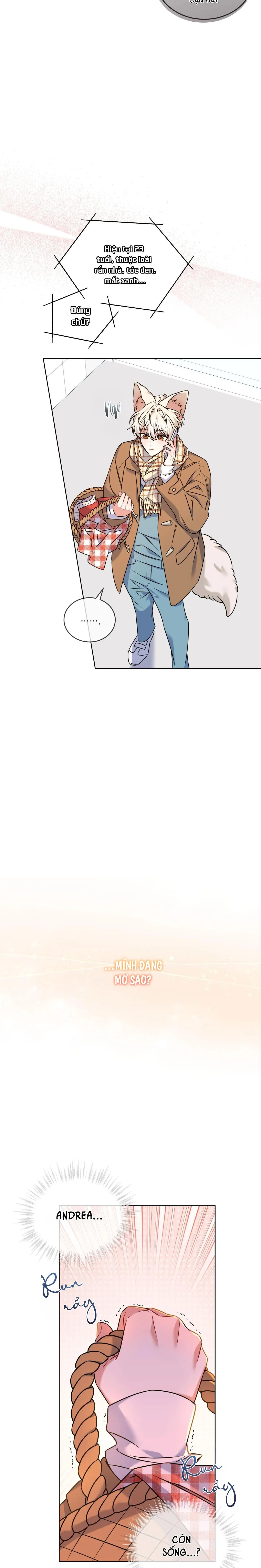 NƯỚC UỐNG TÌNH YÊU CỦA CÁO PLIN Chapter 12 Trang 6