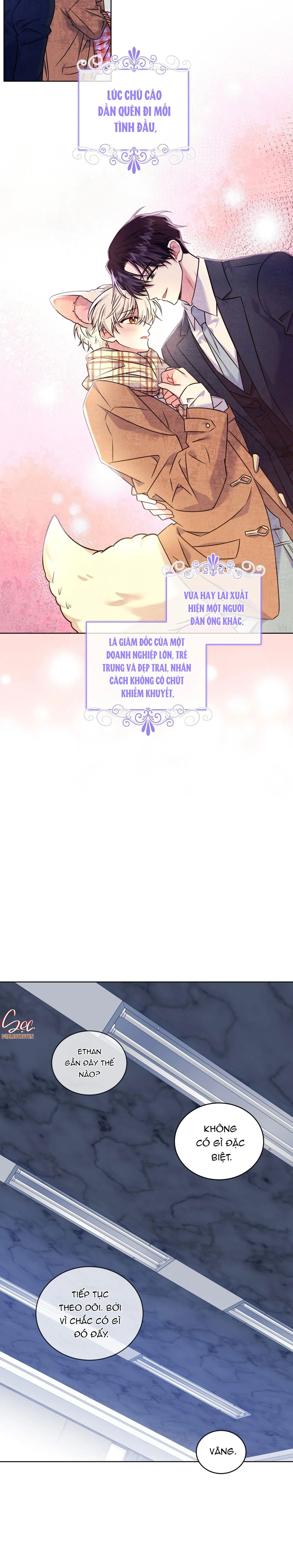 NƯỚC UỐNG TÌNH YÊU CỦA CÁO PLIN Chapter 12 Trang 17