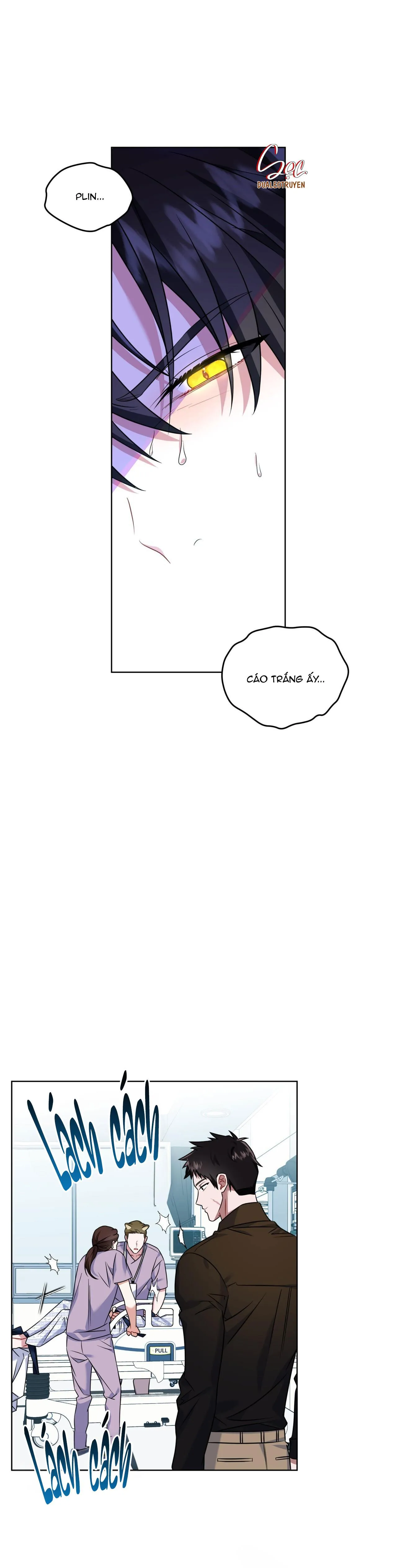 NƯỚC UỐNG TÌNH YÊU CỦA CÁO PLIN Chapter 15 Trang 17