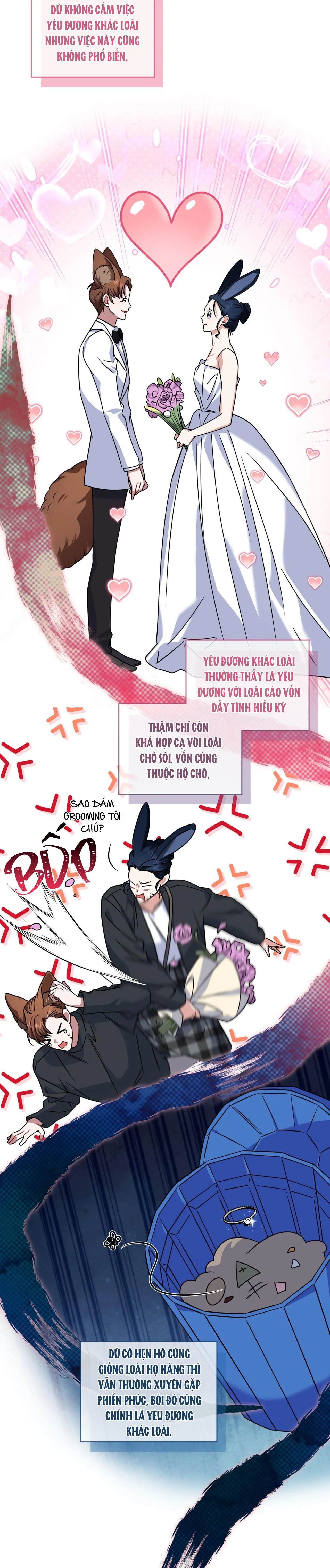 NƯỚC UỐNG TÌNH YÊU CỦA CÁO PLIN Chapter 21 Trang 6