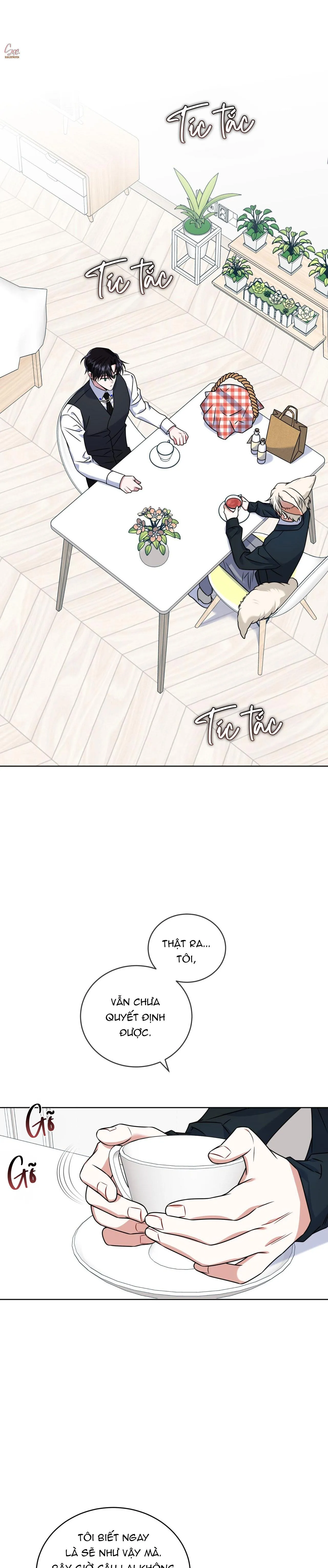 NƯỚC UỐNG TÌNH YÊU CỦA CÁO PLIN Chapter 22 Trang 7