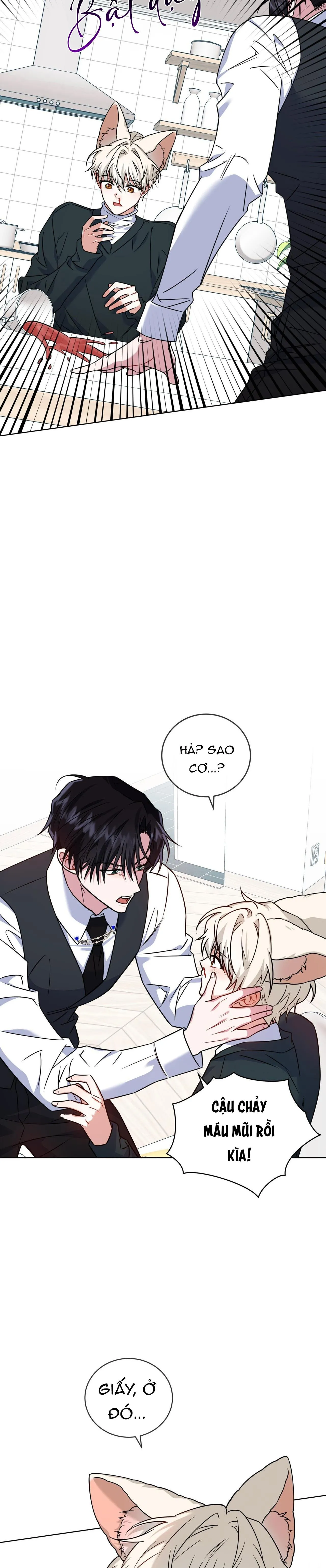 NƯỚC UỐNG TÌNH YÊU CỦA CÁO PLIN Chapter 22 Trang 12