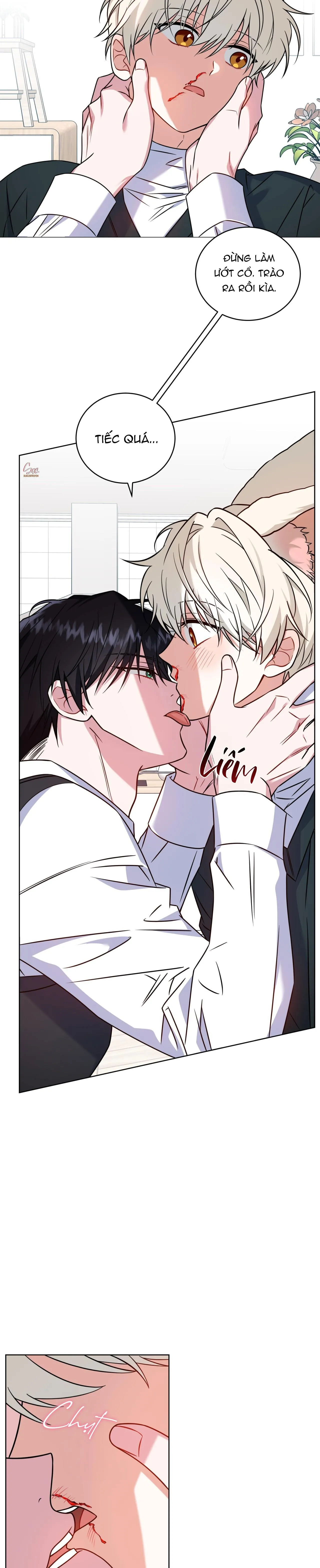 NƯỚC UỐNG TÌNH YÊU CỦA CÁO PLIN Chapter 22 Trang 13