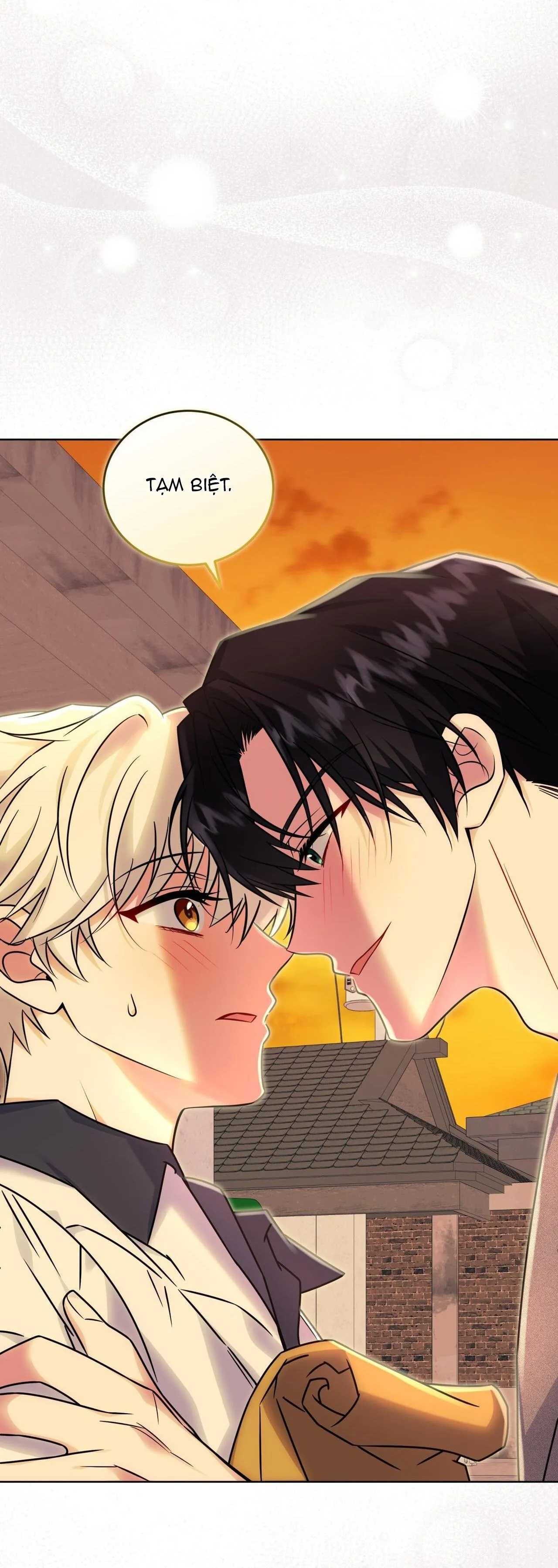 NƯỚC UỐNG TÌNH YÊU CỦA CÁO PLIN Chapter 26 Trang 5