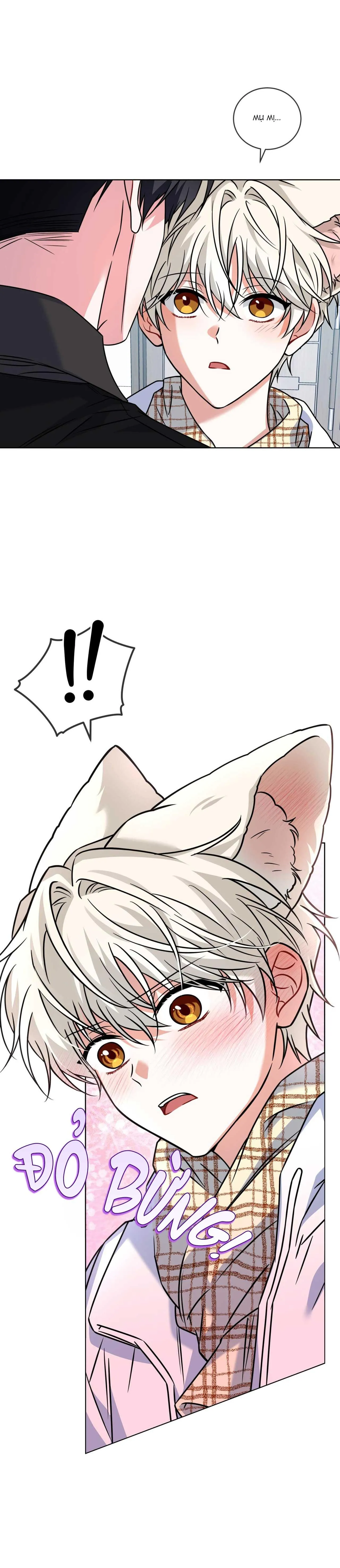 NƯỚC UỐNG TÌNH YÊU CỦA CÁO PLIN Chapter 27 Trang 39