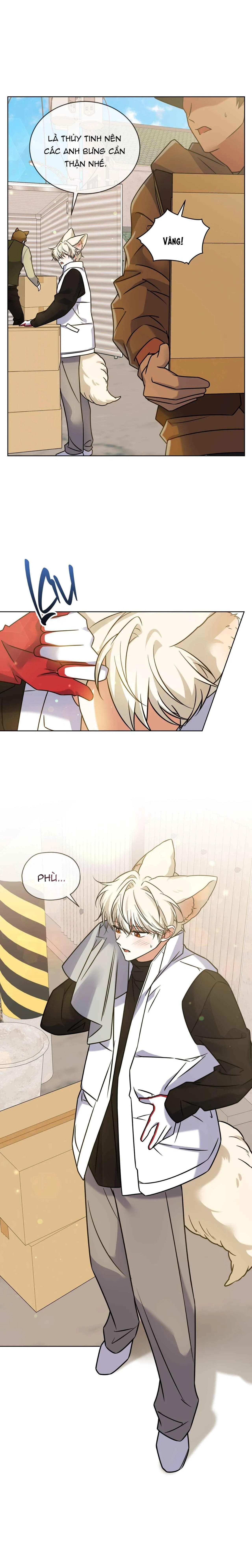 NƯỚC UỐNG TÌNH YÊU CỦA CÁO PLIN Chapter 31 Trang 23