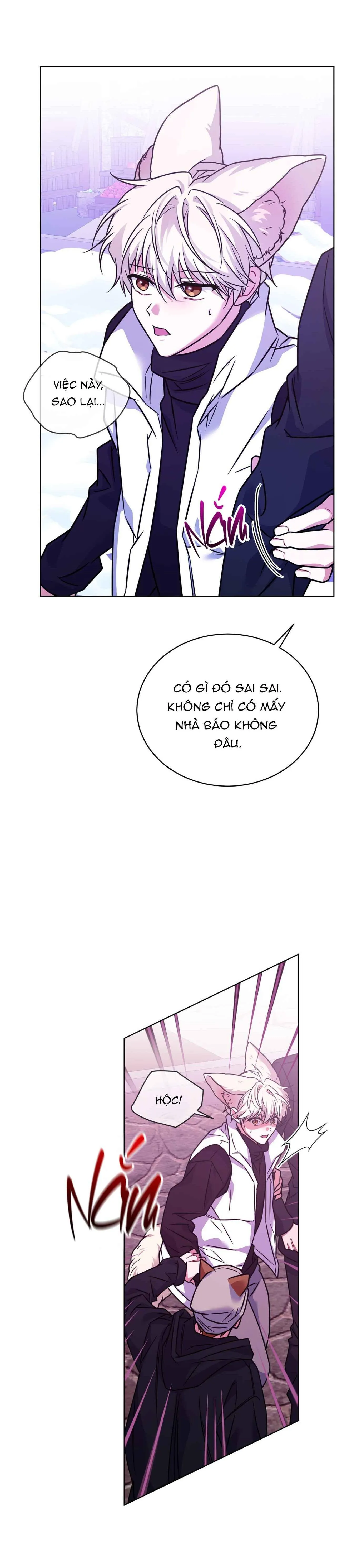 NƯỚC UỐNG TÌNH YÊU CỦA CÁO PLIN Chapter 32 Trang 17