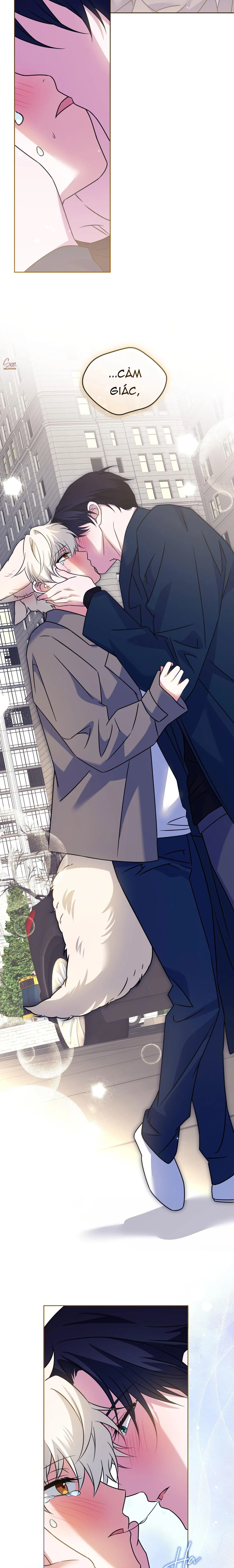 NƯỚC UỐNG TÌNH YÊU CỦA CÁO PLIN Chapter 41 Trang 10