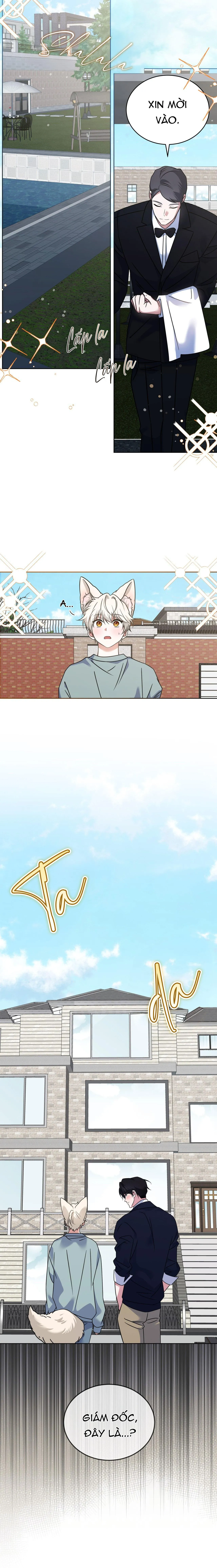 NƯỚC UỐNG TÌNH YÊU CỦA CÁO PLIN Chapter 41 Trang 17