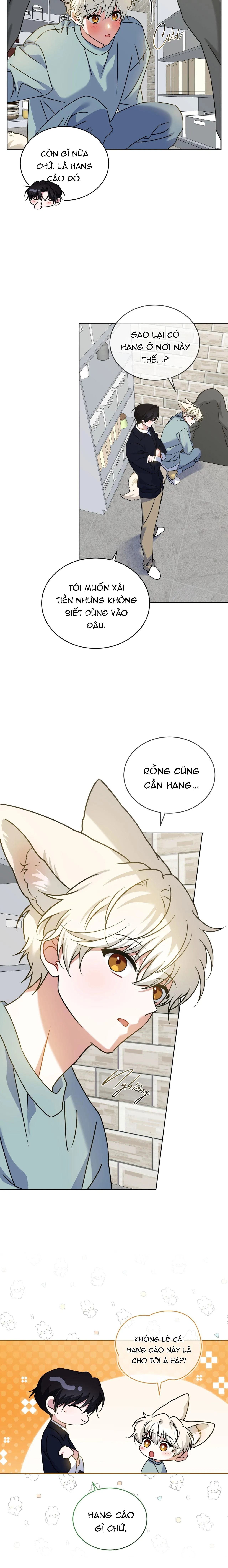 NƯỚC UỐNG TÌNH YÊU CỦA CÁO PLIN Chapter 42 Trang 4