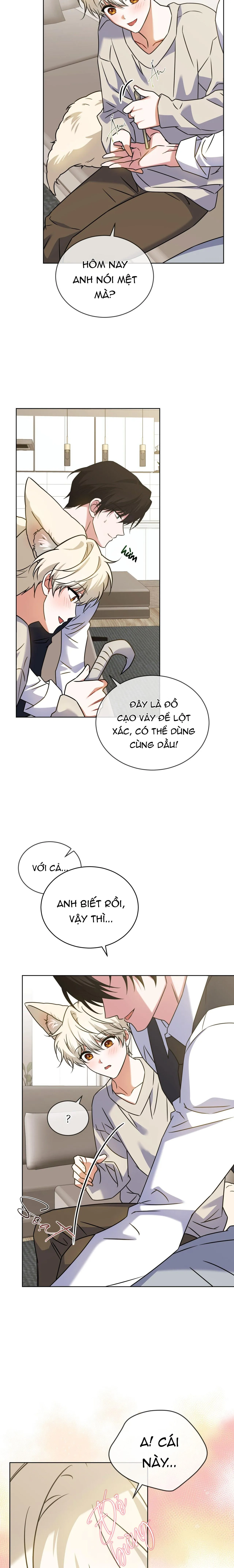 NƯỚC UỐNG TÌNH YÊU CỦA CÁO PLIN Chapter 42 Trang 18