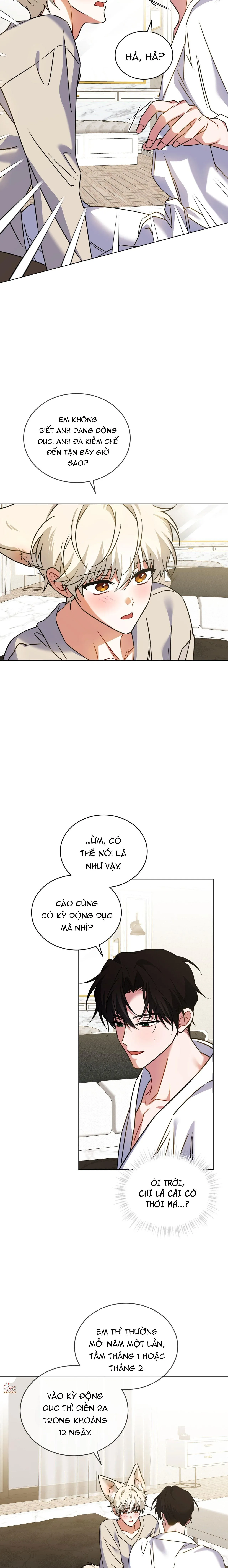 NƯỚC UỐNG TÌNH YÊU CỦA CÁO PLIN Chapter 43 Trang 7