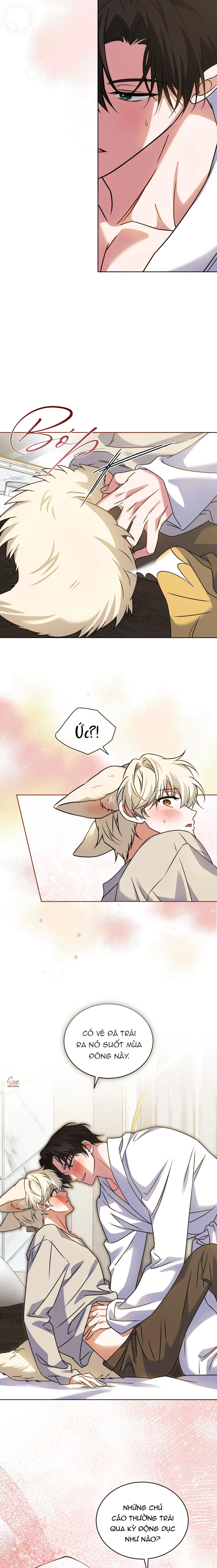 NƯỚC UỐNG TÌNH YÊU CỦA CÁO PLIN Chapter 43 Trang 9