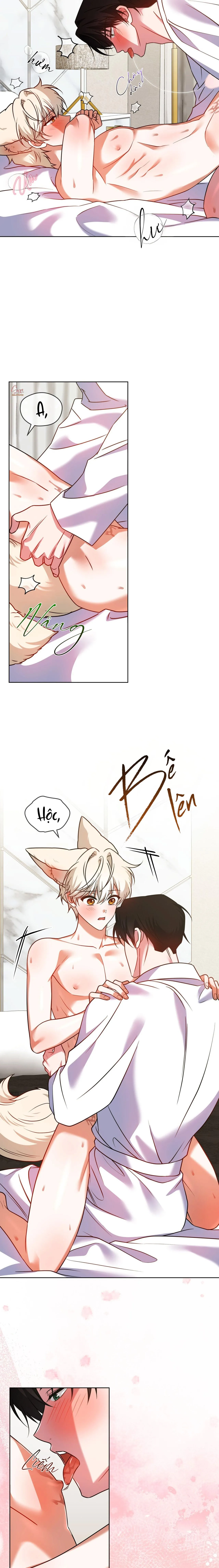 NƯỚC UỐNG TÌNH YÊU CỦA CÁO PLIN Chapter 43 Trang 14