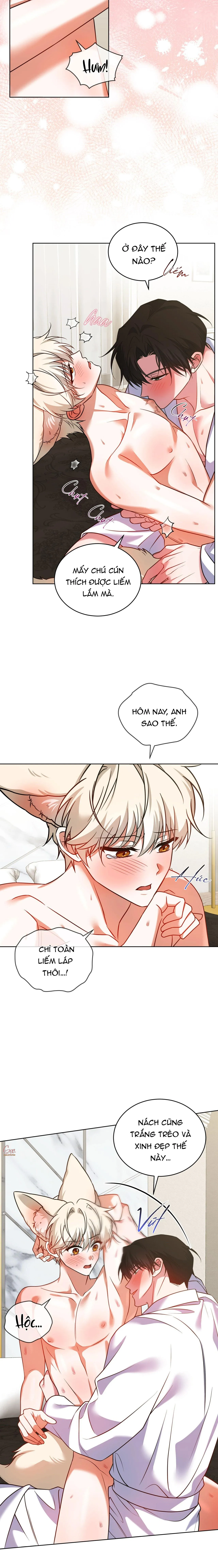 NƯỚC UỐNG TÌNH YÊU CỦA CÁO PLIN Chapter 43 Trang 15