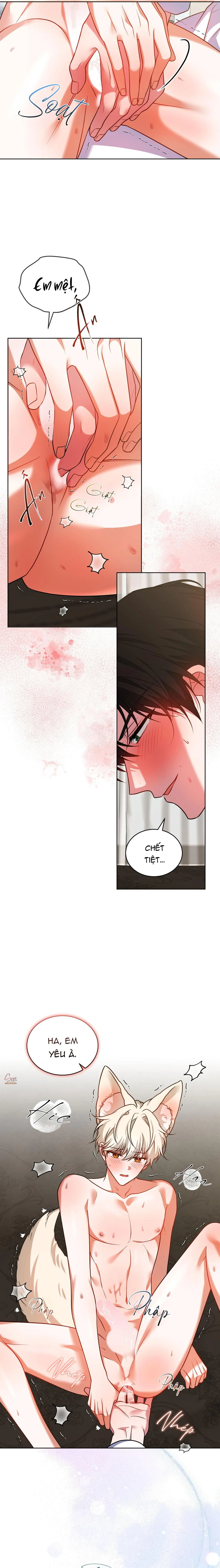 NƯỚC UỐNG TÌNH YÊU CỦA CÁO PLIN Chapter 43 Trang 17