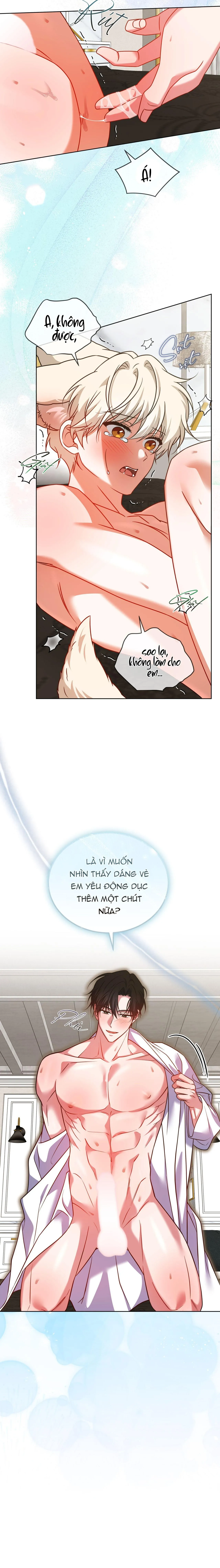 NƯỚC UỐNG TÌNH YÊU CỦA CÁO PLIN Chapter 43 Trang 18