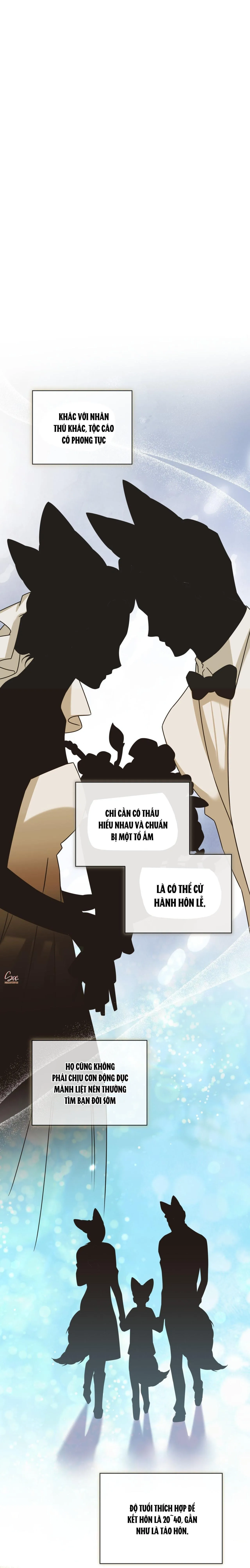 NƯỚC UỐNG TÌNH YÊU CỦA CÁO PLIN Chapter 47 Trang 15