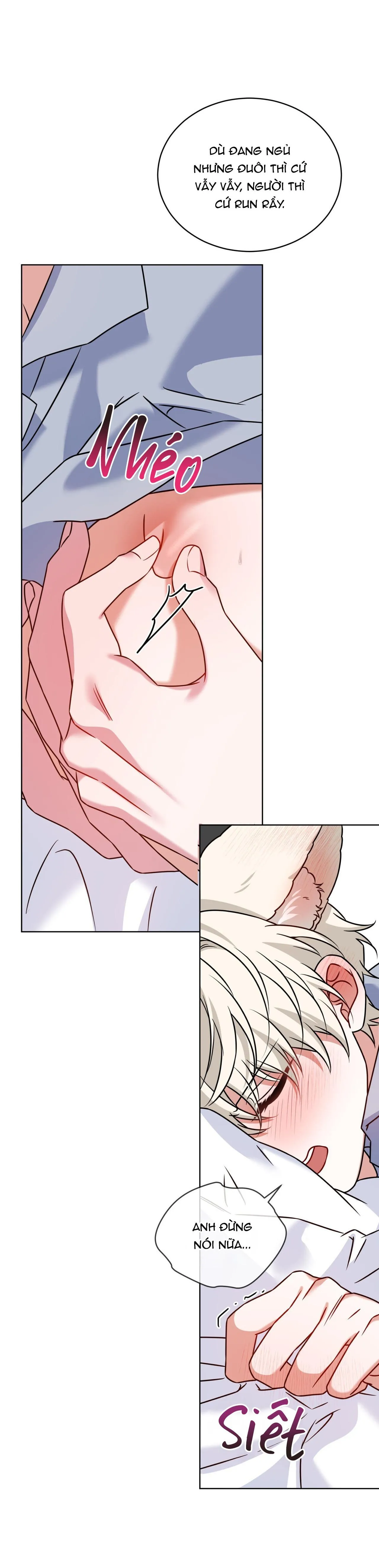 NƯỚC UỐNG TÌNH YÊU CỦA CÁO PLIN Chapter 49 Trang 3